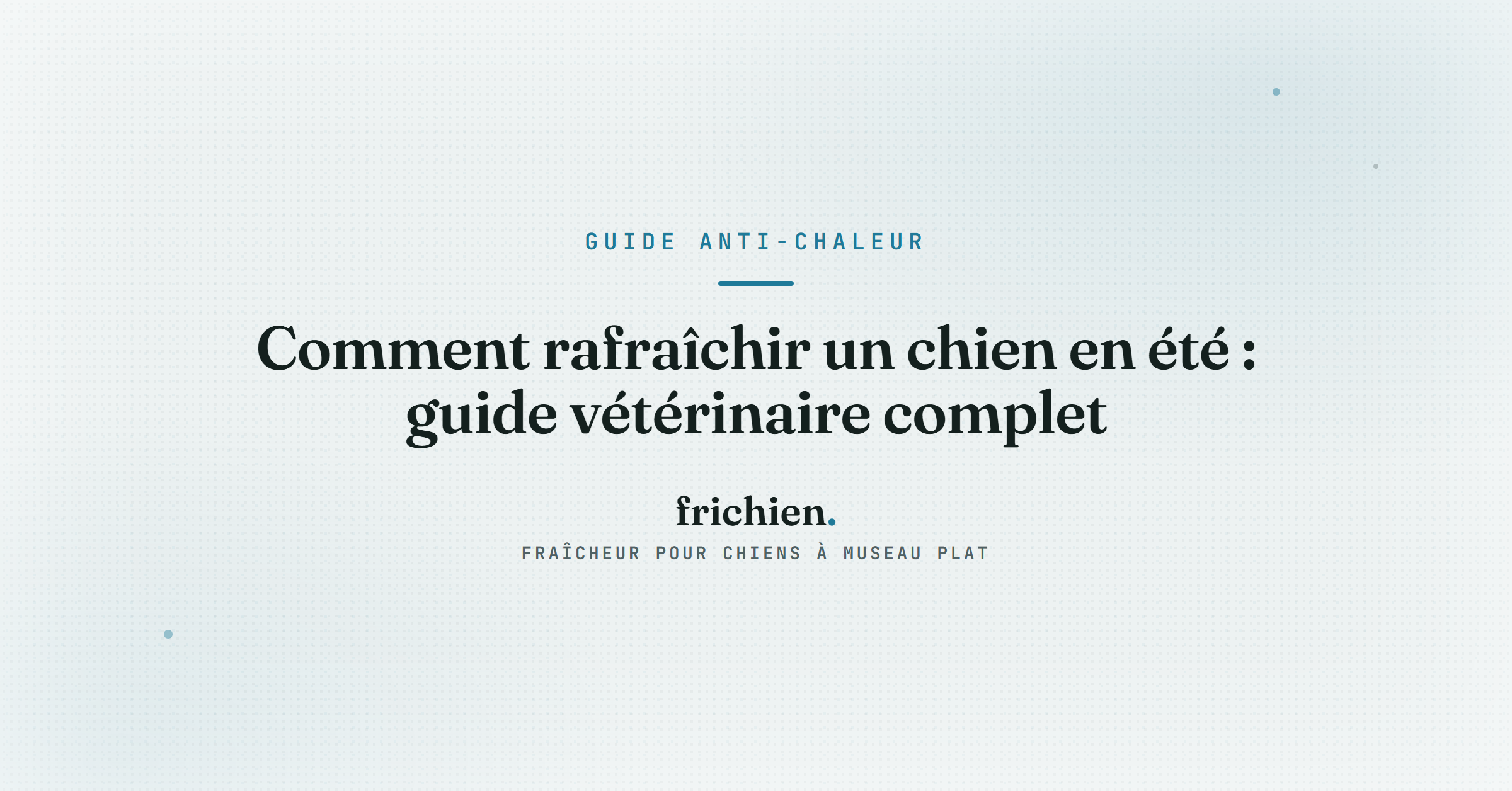 Comment rafraîchir un chien en été : guide vétérinaire complet