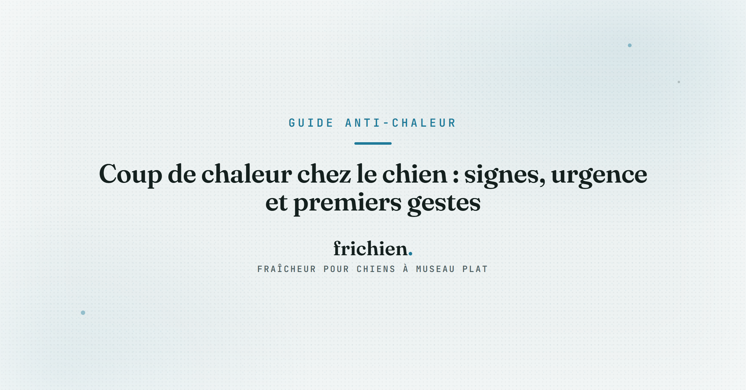 Coup de chaleur chez le chien : signes, urgence et premiers gestes
