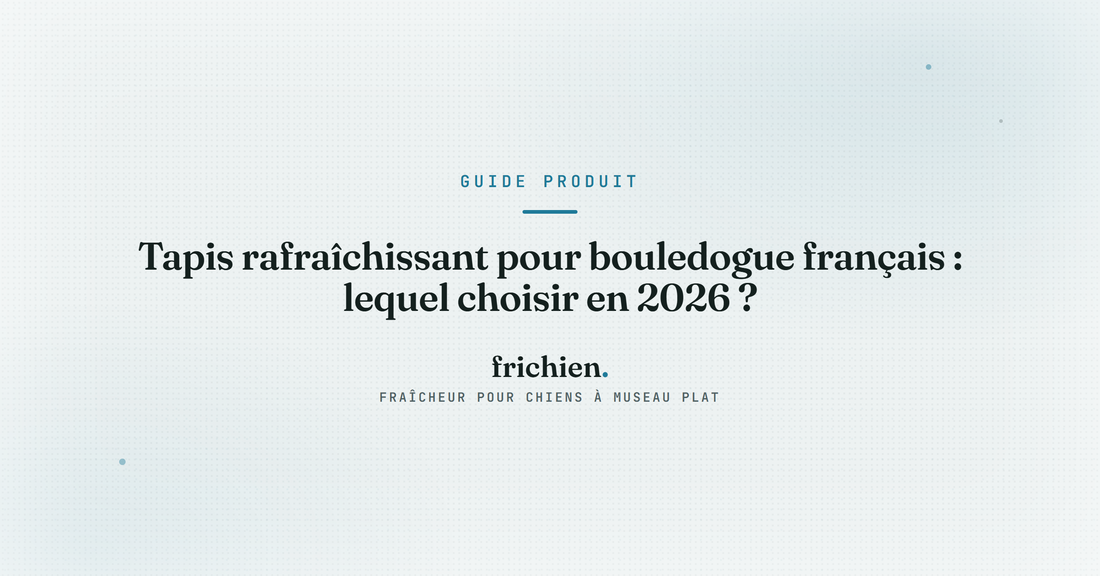 Tapis rafraîchissant pour bouledogue français : lequel choisir en 2026 ?