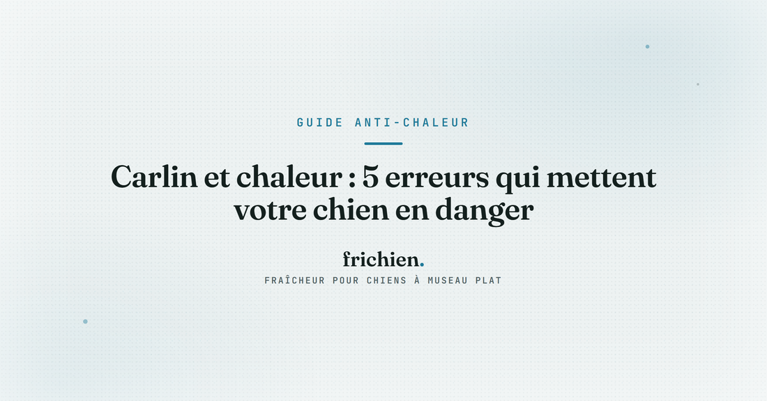 Carlin et chaleur : 5 erreurs qui mettent votre chien en danger