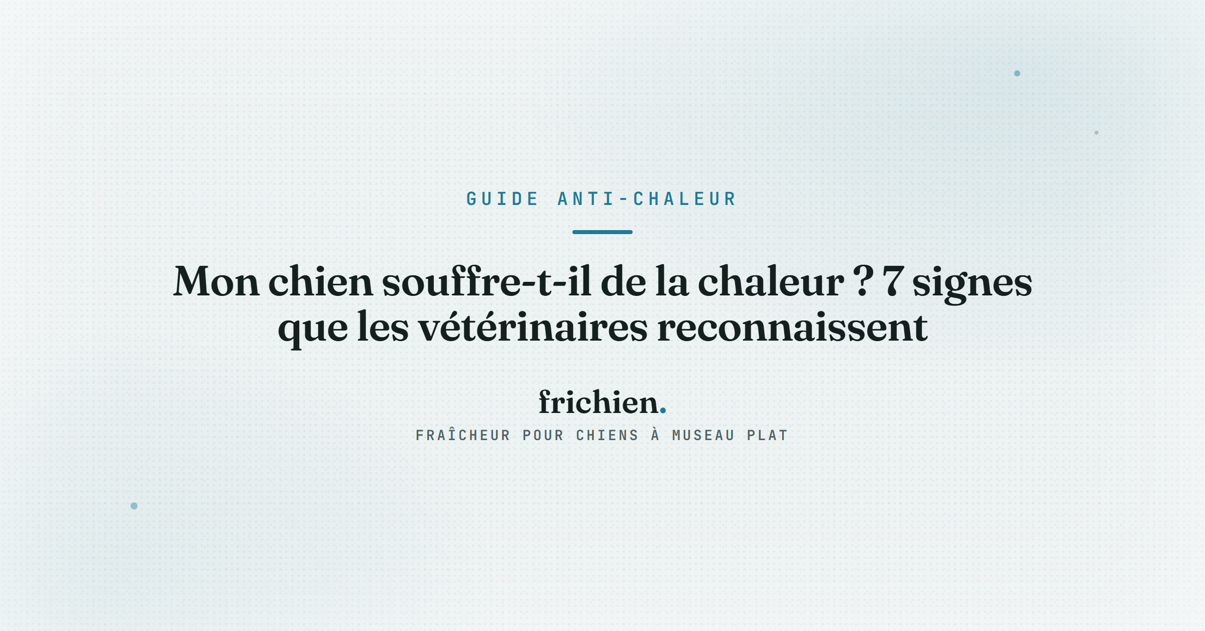 Mon chien souffre-t-il de la chaleur ? 7 signes que les vétérinaires reconnaissent