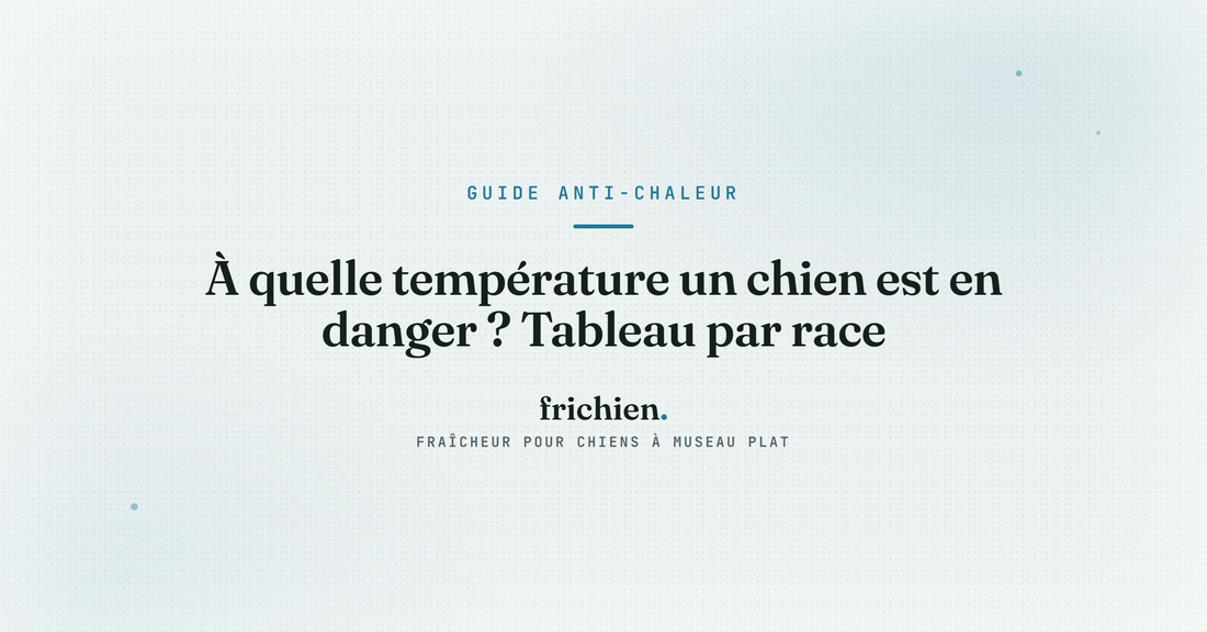 À quelle température un chien est en danger ? Tableau par race