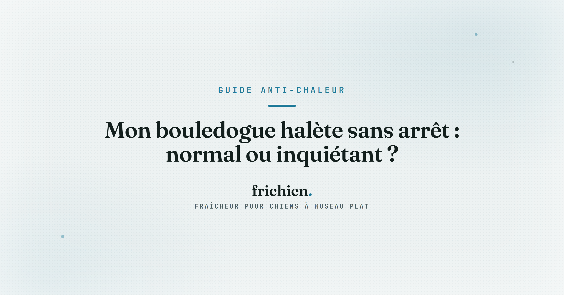 Mon bouledogue halète sans arrêt : normal ou inquiétant ?