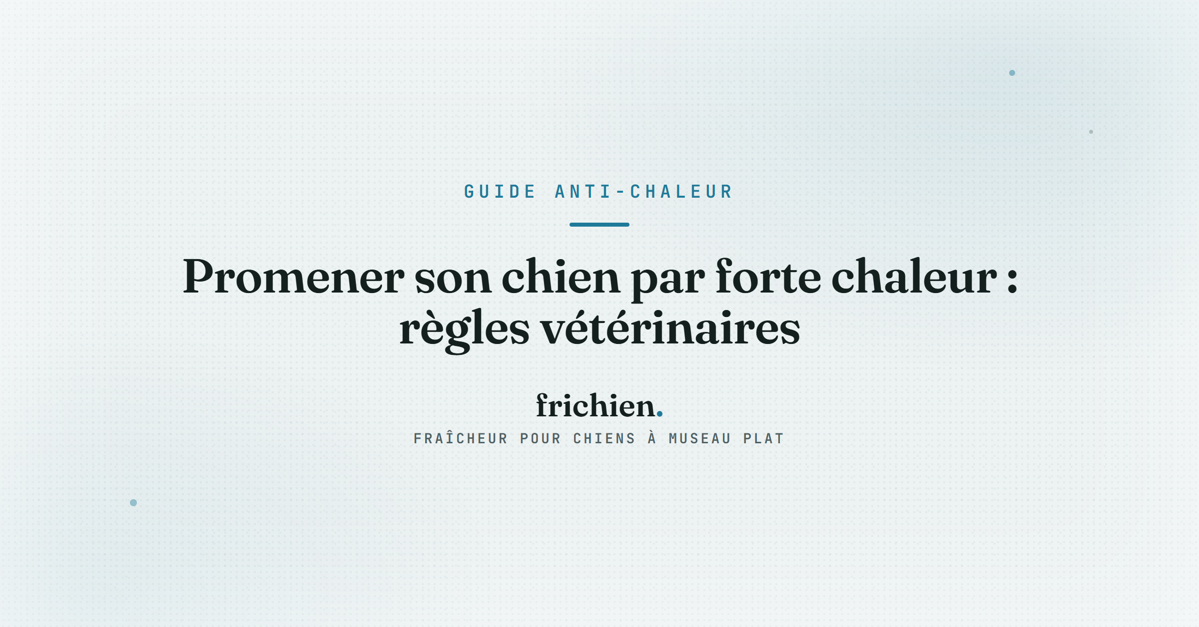 Promener son chien par forte chaleur : règles vétérinaires