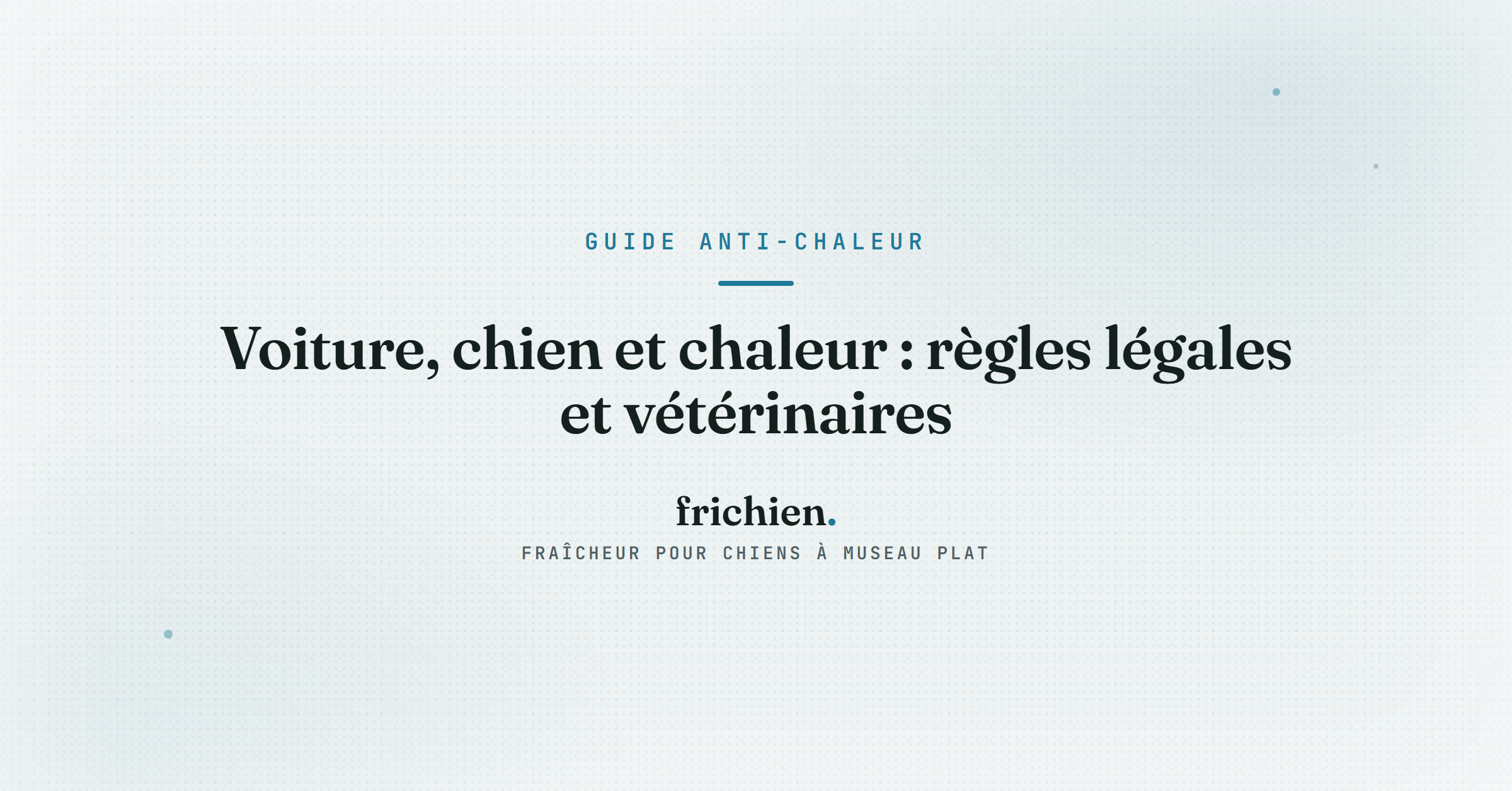 Voiture, chien et chaleur : règles légales et vétérinaires
