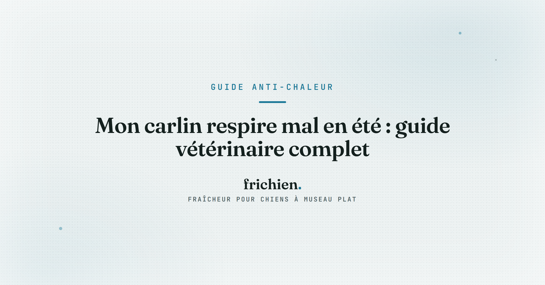 Mon carlin respire mal en été : guide vétérinaire complet