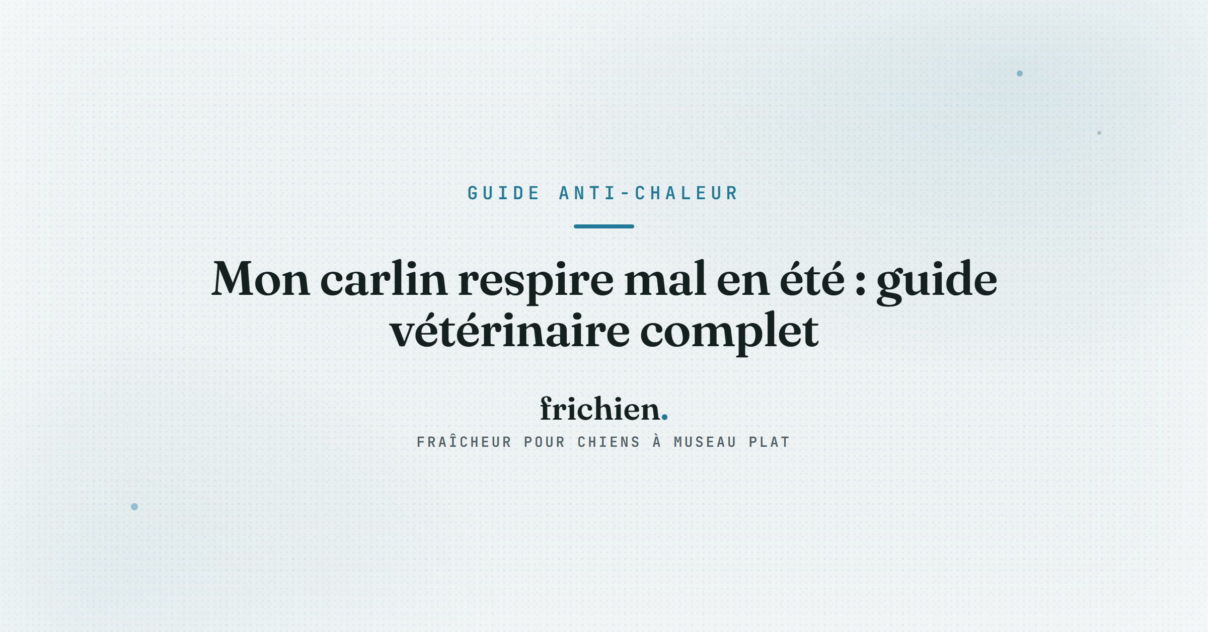 Mon carlin respire mal en été : guide vétérinaire complet