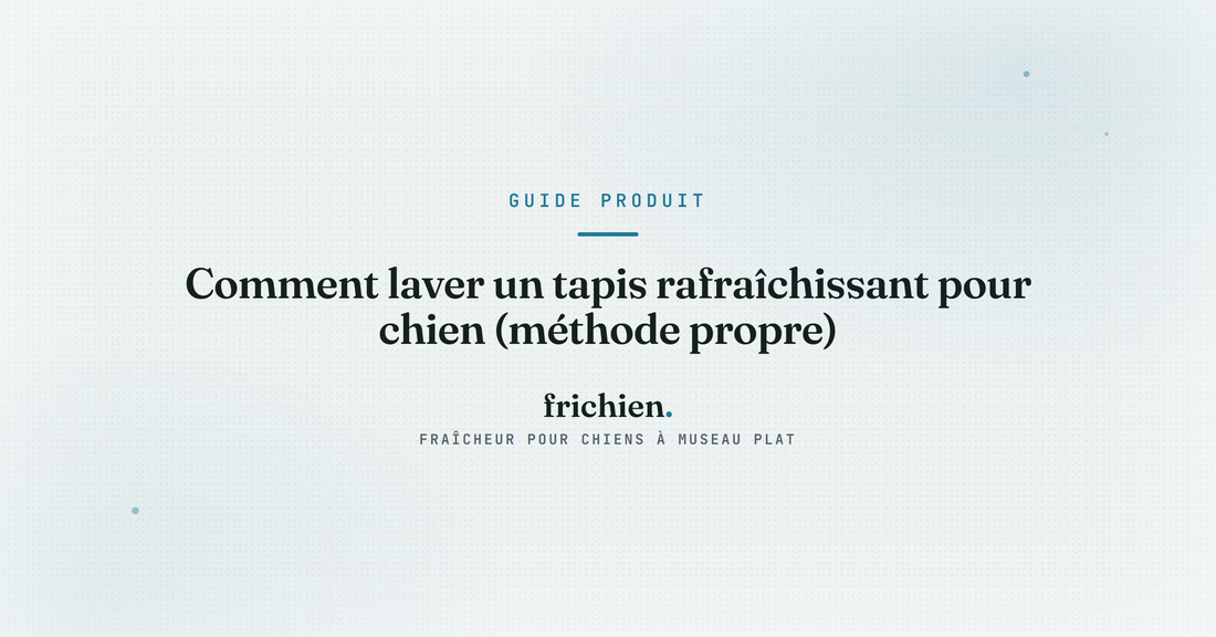 Comment laver un tapis rafraîchissant pour chien (méthode propre)