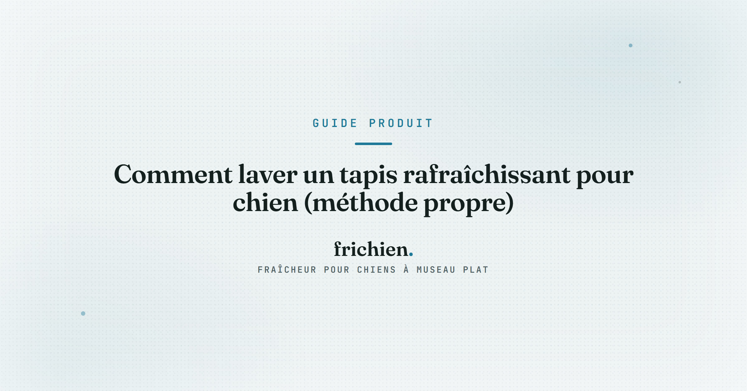 Comment laver un tapis rafraîchissant pour chien (méthode propre)