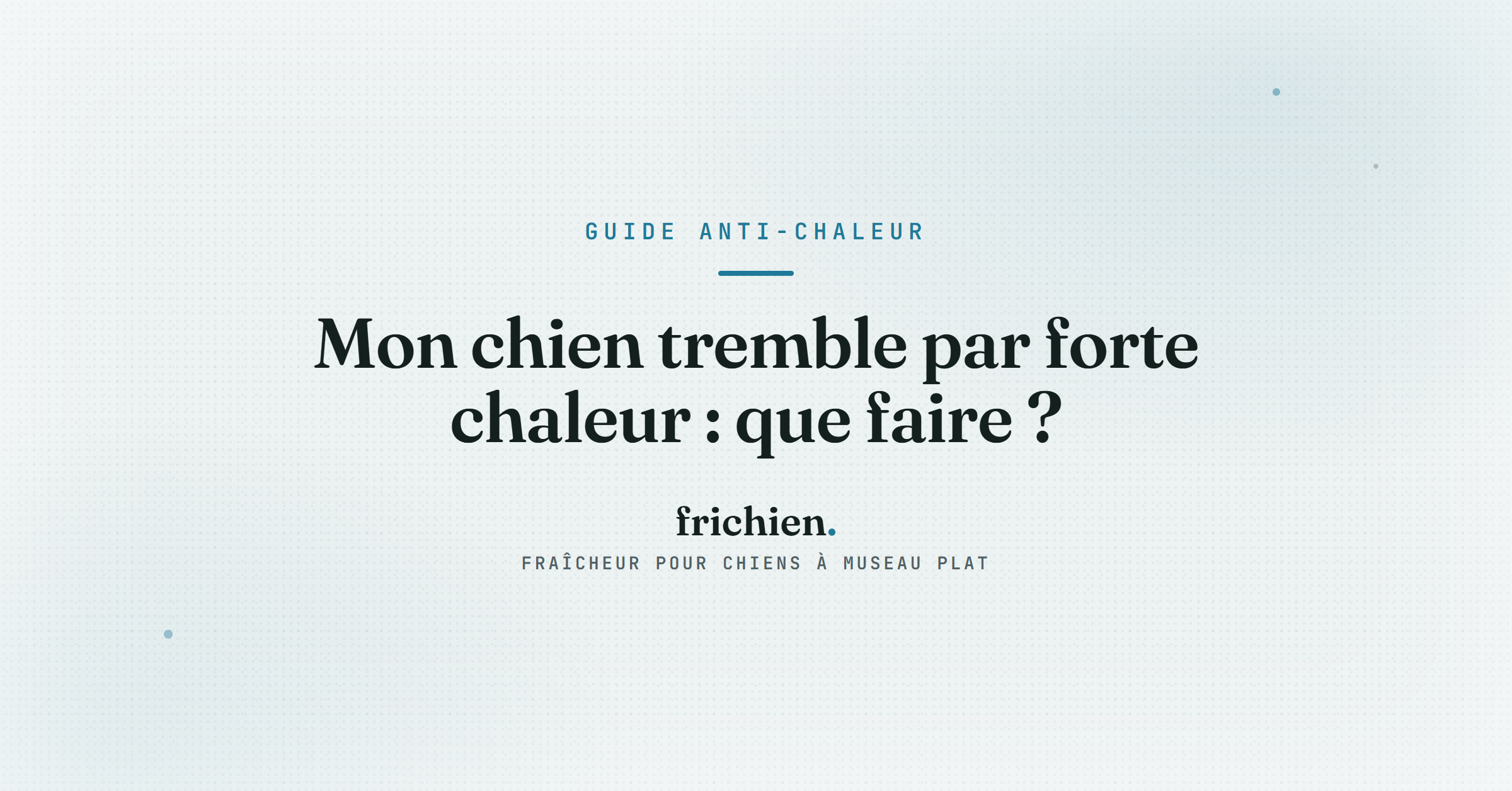 Mon chien tremble par forte chaleur : que faire ?