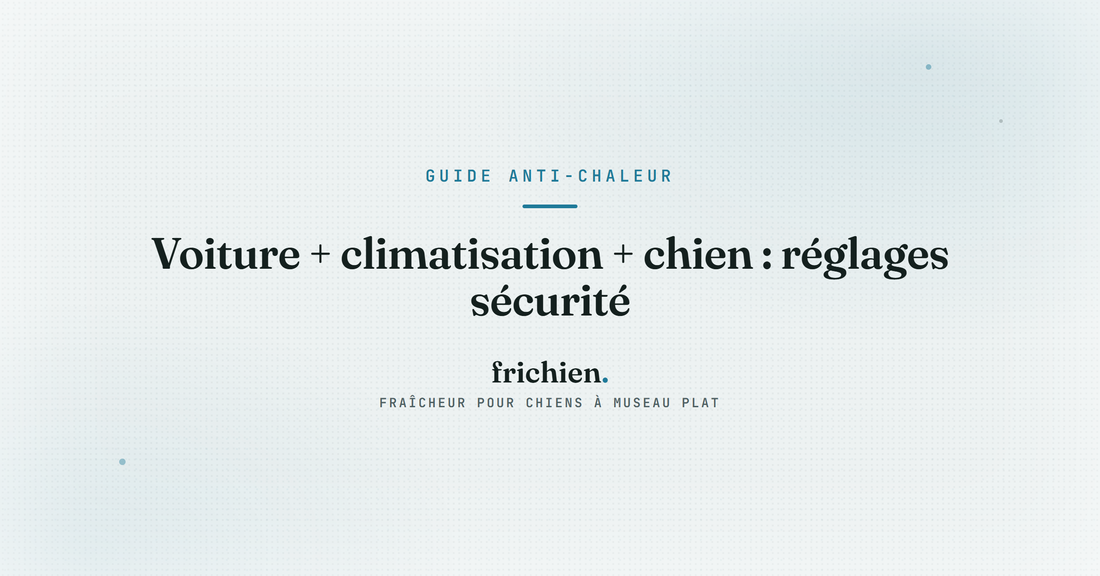 Voiture + climatisation + chien : réglages sécurité