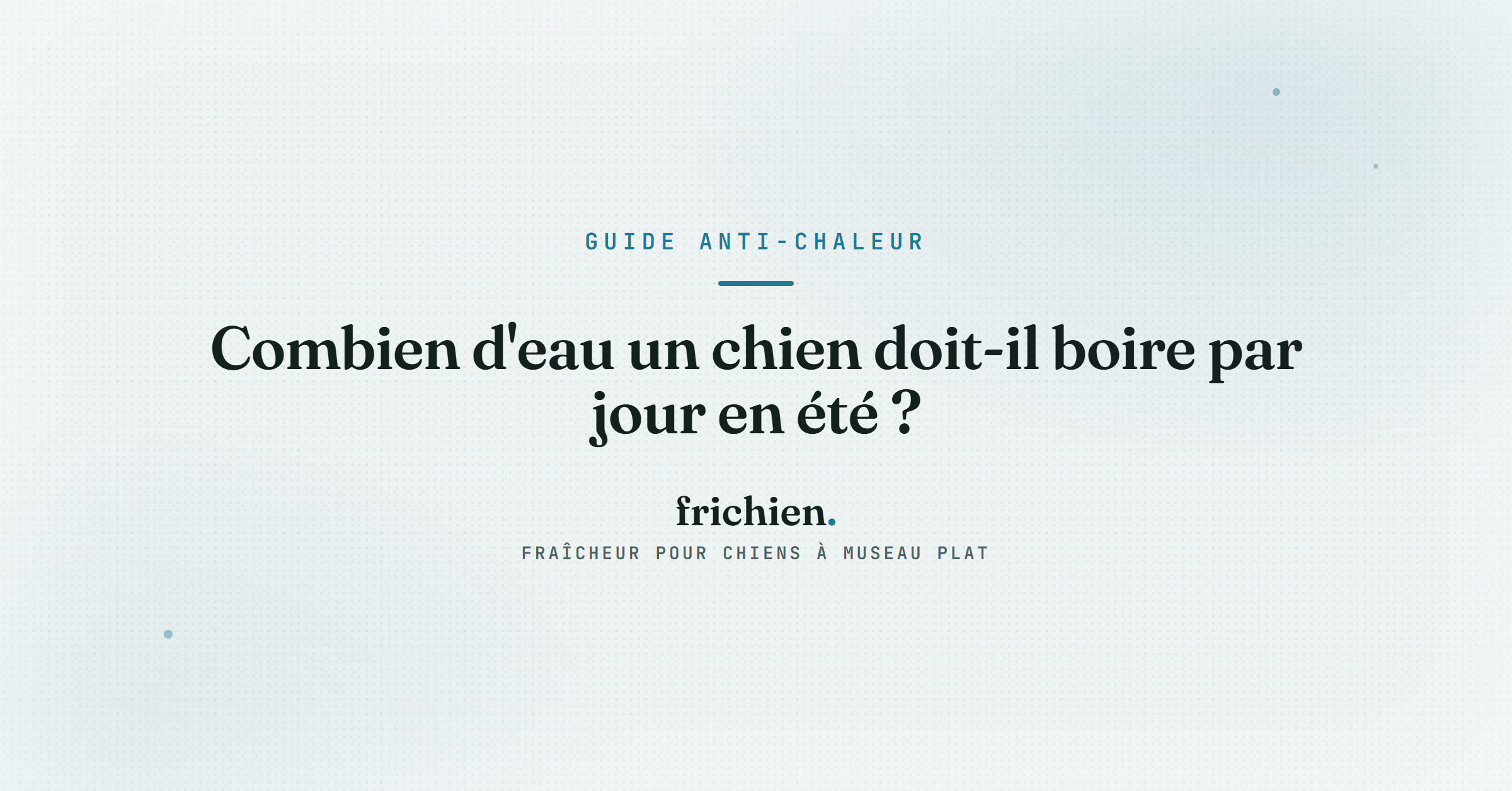 Combien d'eau un chien doit-il boire par jour en été ?