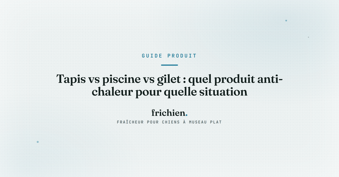 Tapis vs piscine vs gilet : quel produit anti-chaleur pour quelle situation