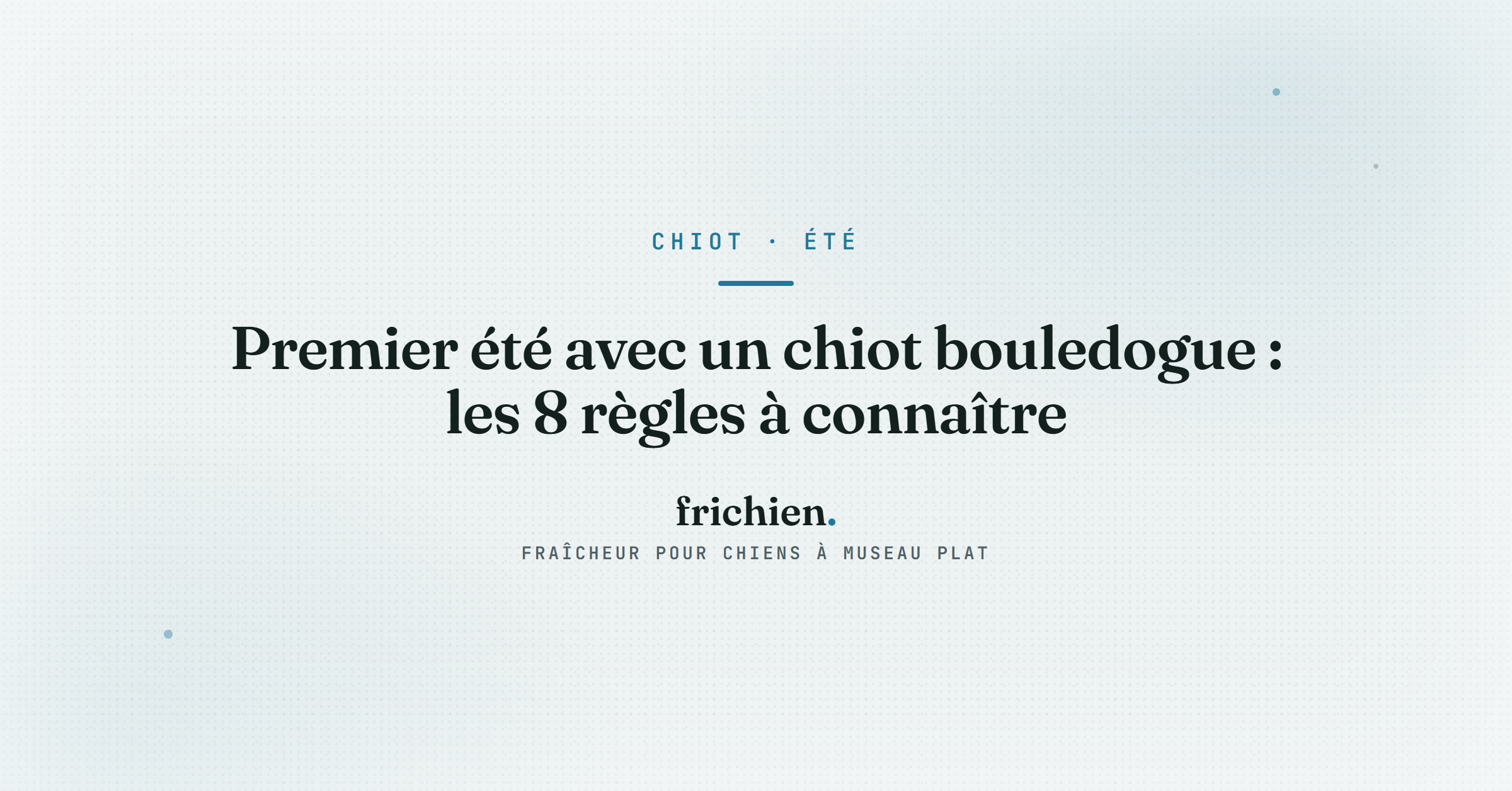 Premier été avec un chiot bouledogue : les 8 règles à connaître
