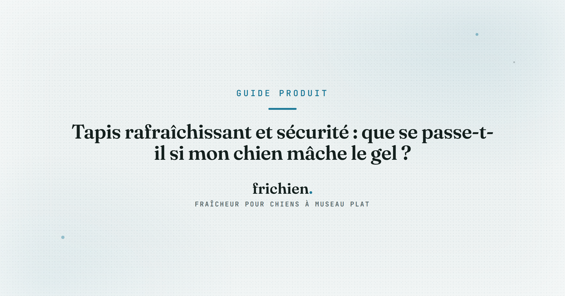 Tapis rafraîchissant et sécurité : que se passe-t-il si mon chien mâche le gel ?