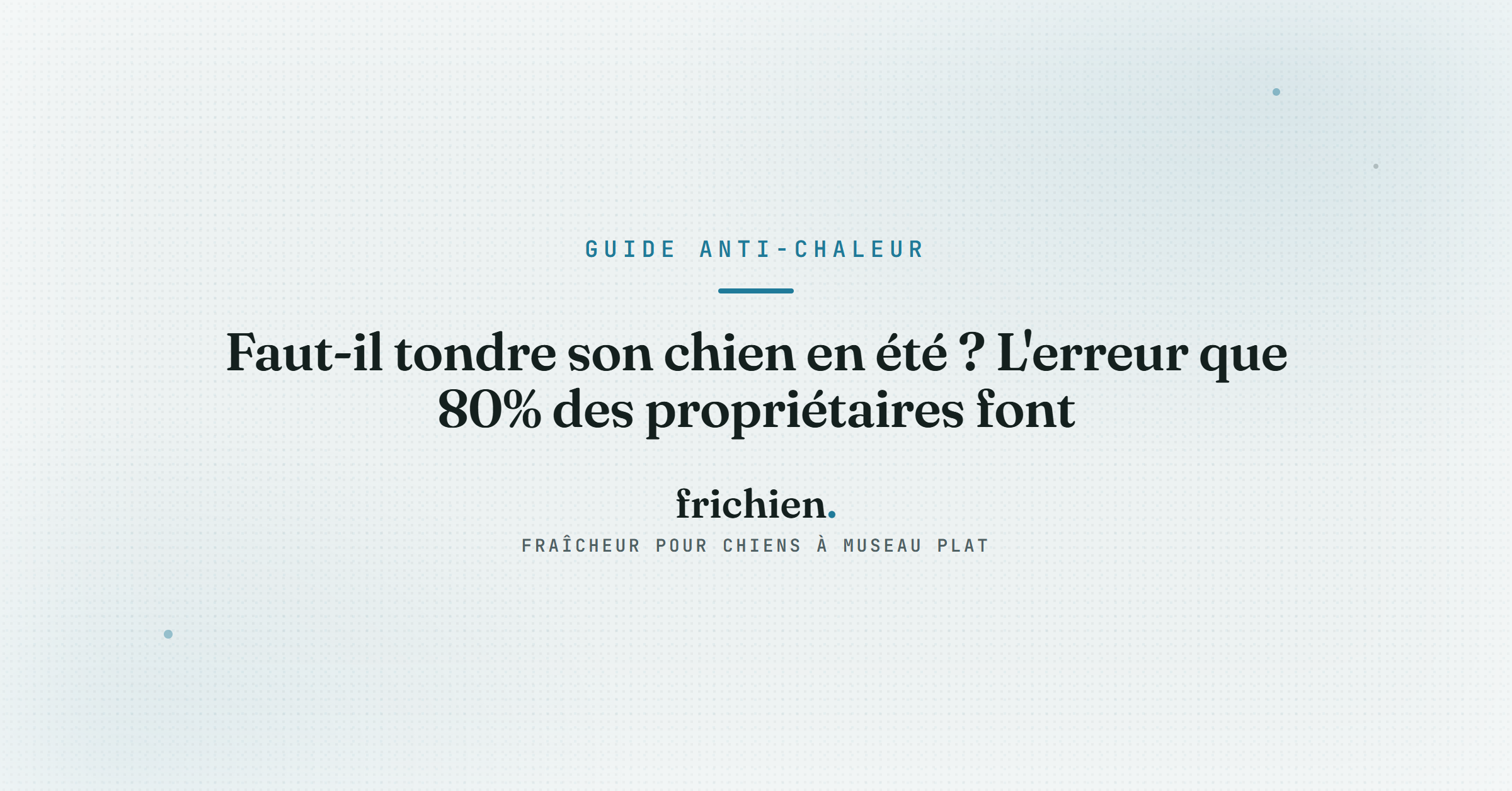 Faut-il tondre son chien en été ? L'erreur que 80% des propriétaires font