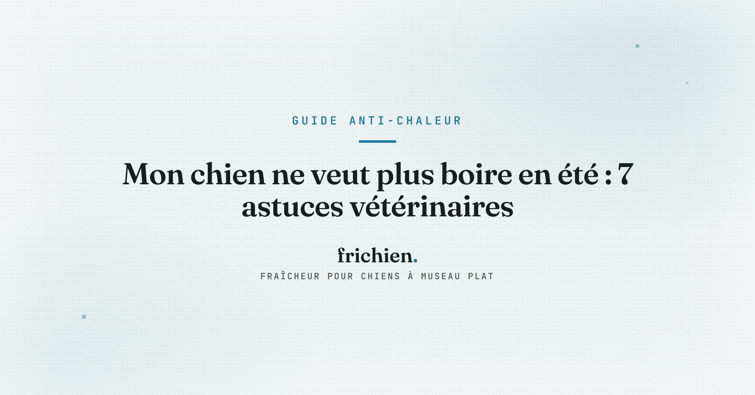 Mon chien ne veut plus boire en été : 7 astuces vétérinaires