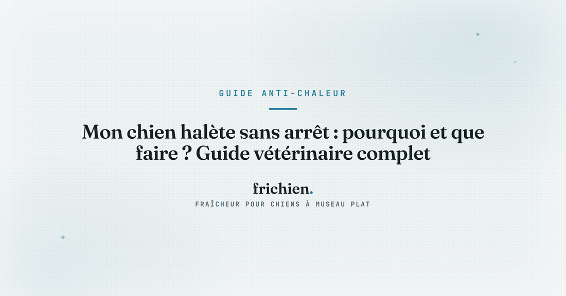 Mon chien halète sans arrêt : pourquoi et que faire ? Guide vétérinaire complet