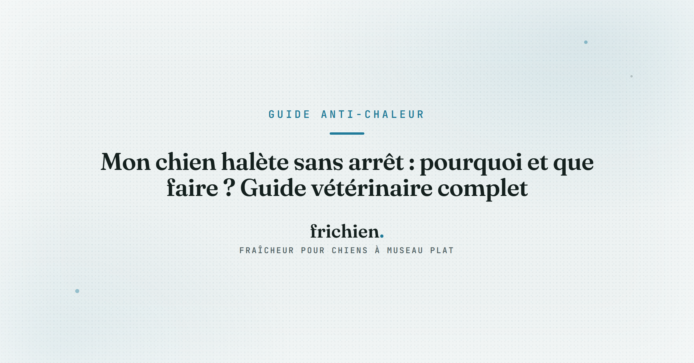 Mon chien halète sans arrêt : pourquoi et que faire ? Guide vétérinaire complet