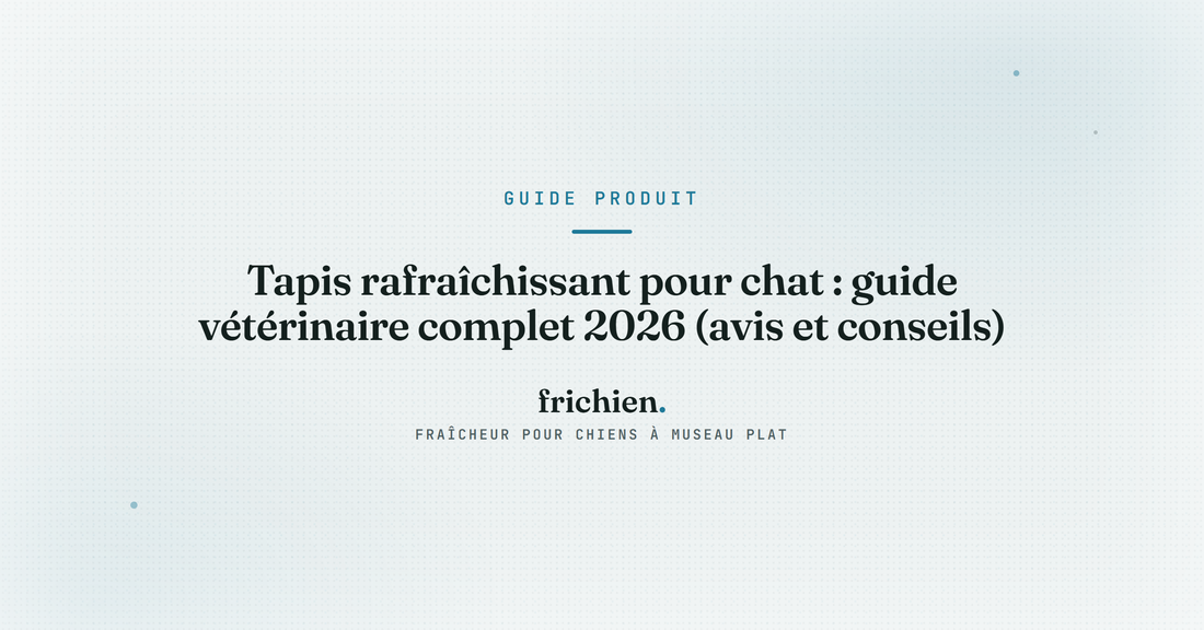 Tapis rafraîchissant pour chat : guide vétérinaire complet 2026 (avis et conseils)