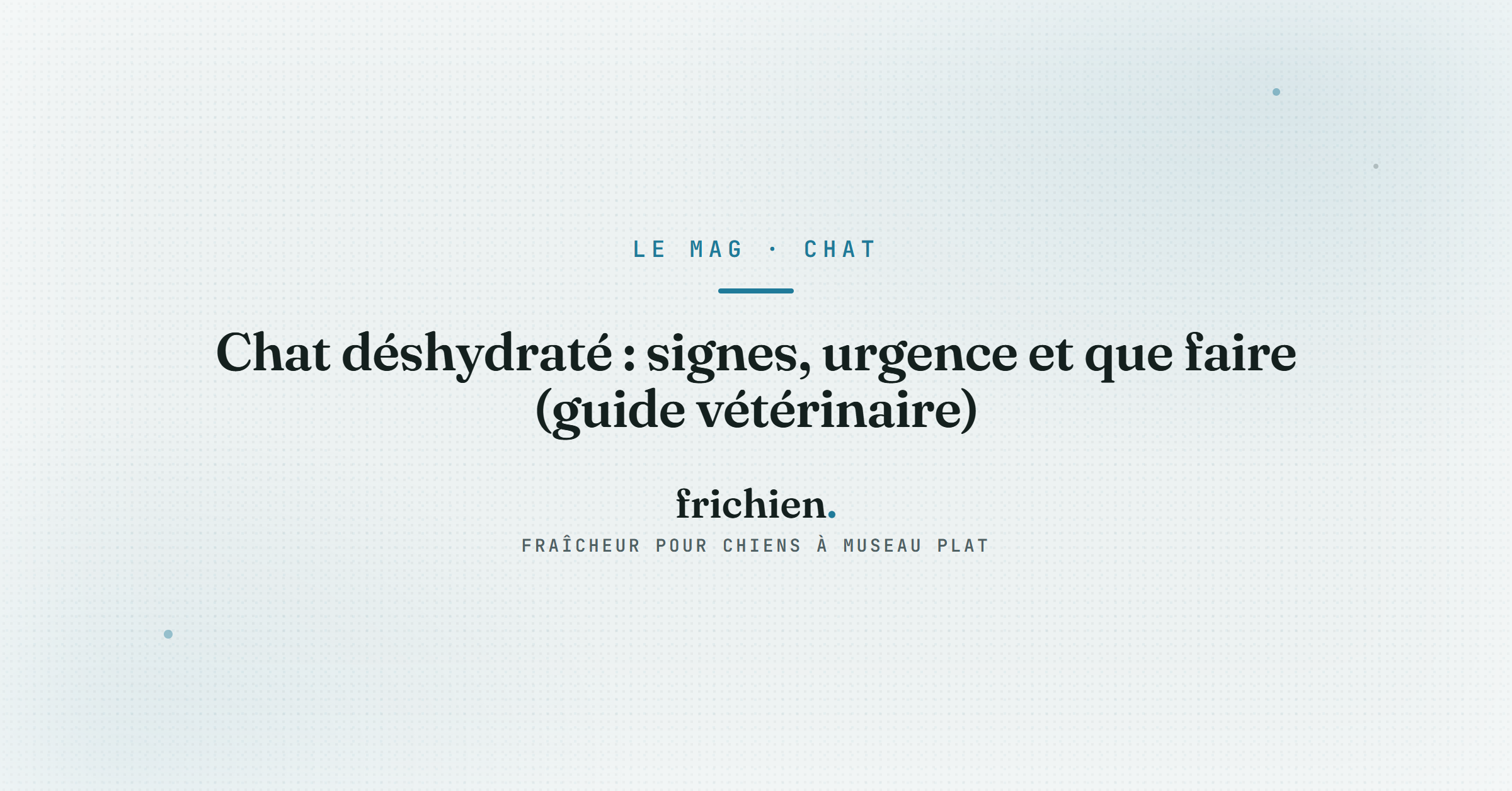 Chat déshydraté : signes, urgence et que faire (guide vétérinaire)