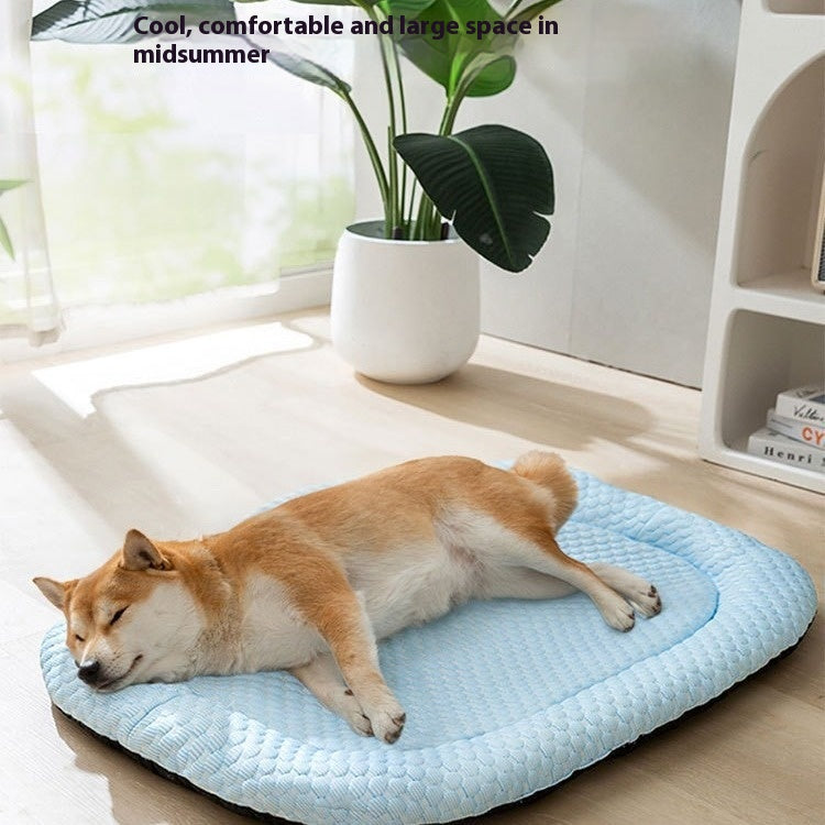 Lit rafraîchissant pour chien — shiba inu confortable sur tapis ice mat bleu