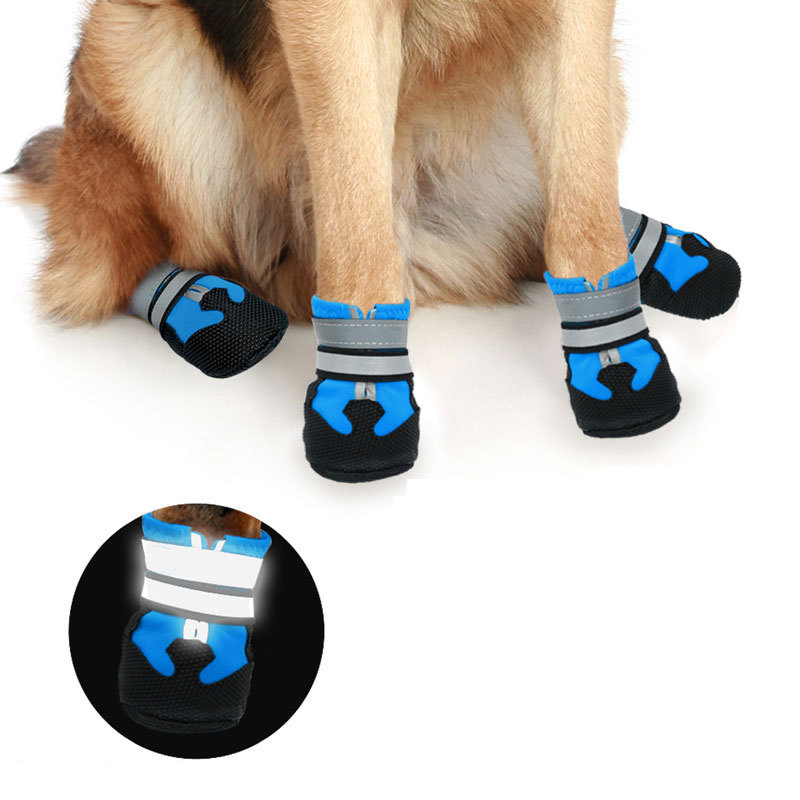 Protections pattes anti-bitume pour chien — chaussons antidérapants bleu