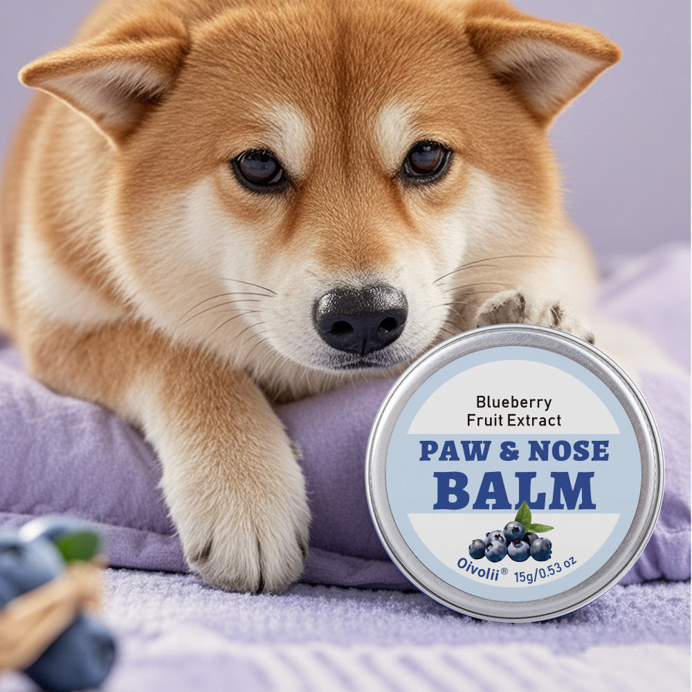Baume protecteur coussinets chien — extrait naturel, application avant balade