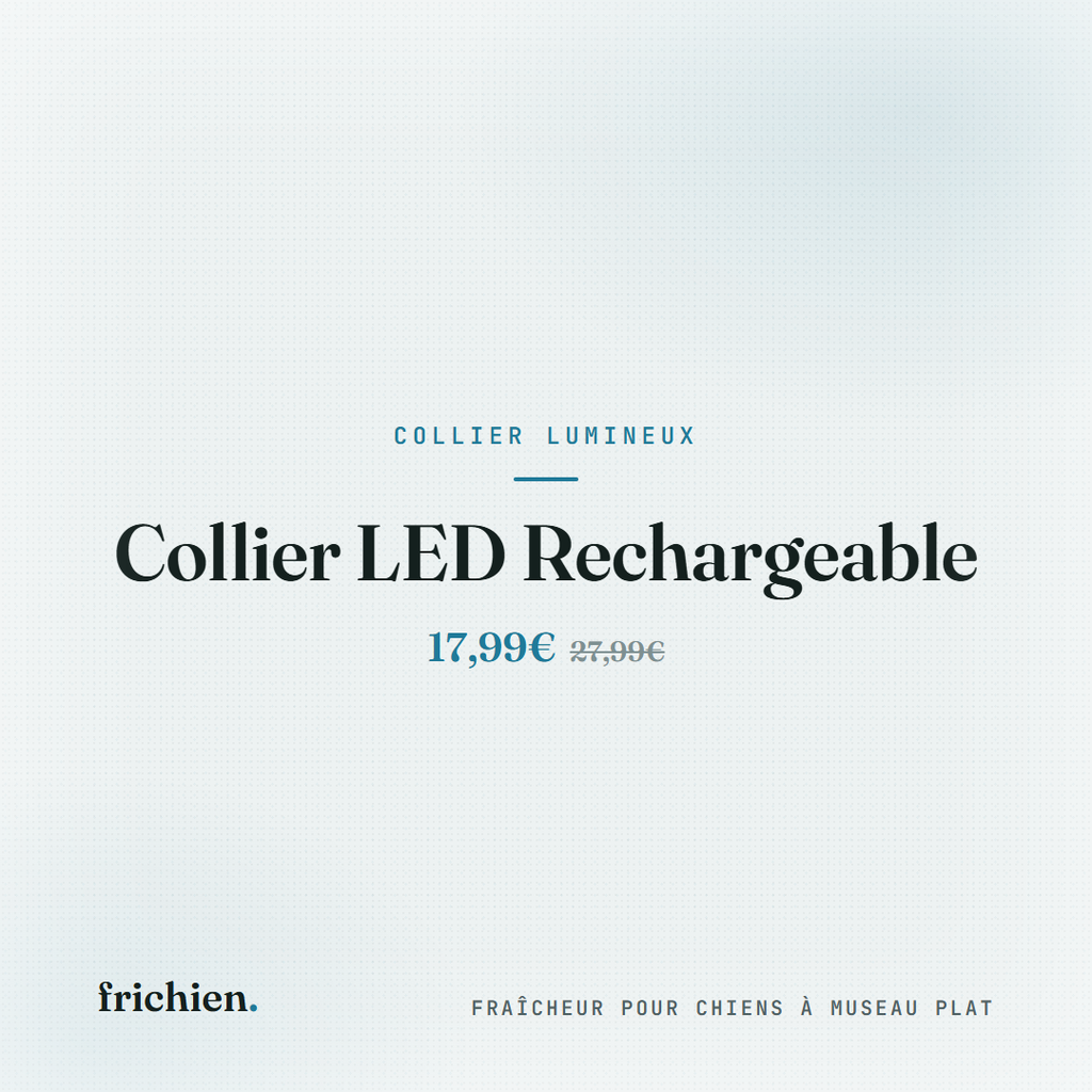 Collier LED Rechargeable