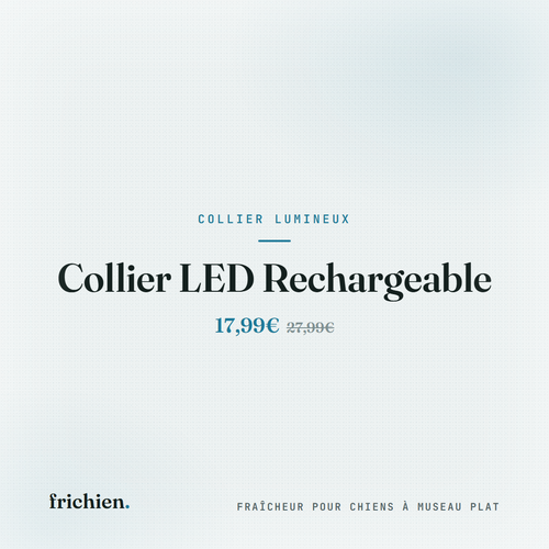 Collier LED Rechargeable