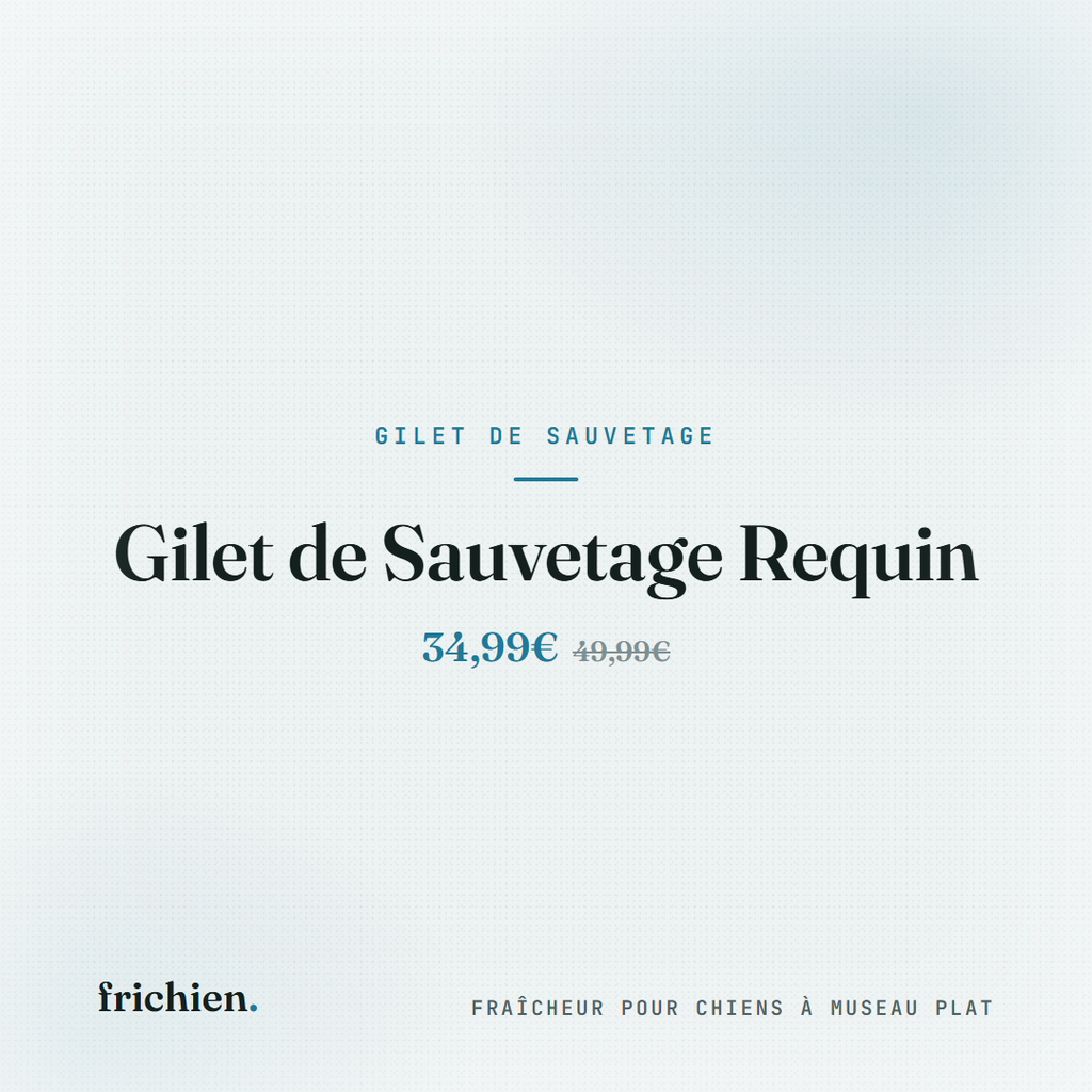 Gilet de Sauvetage Requin