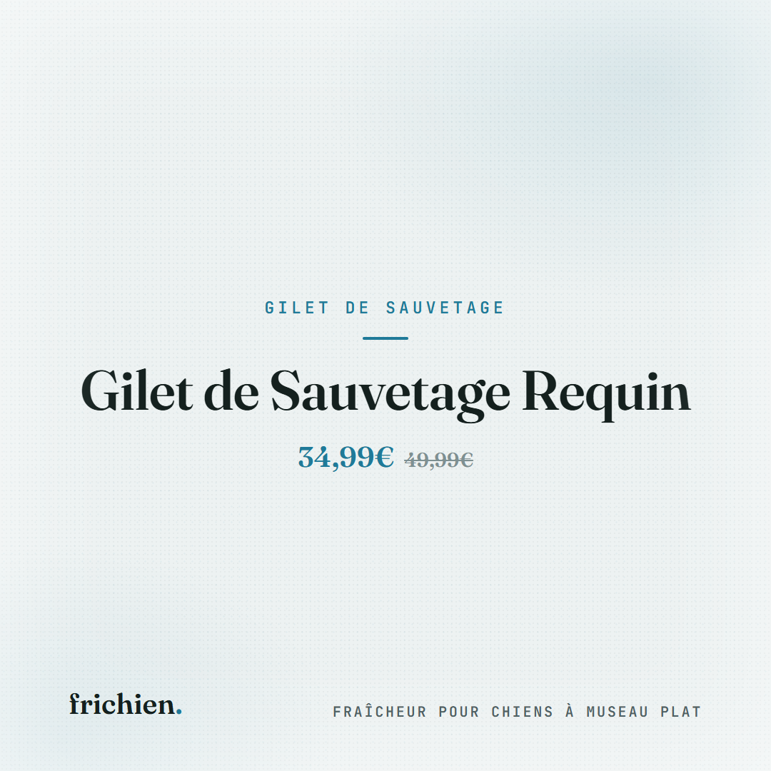 Gilet de Sauvetage Requin