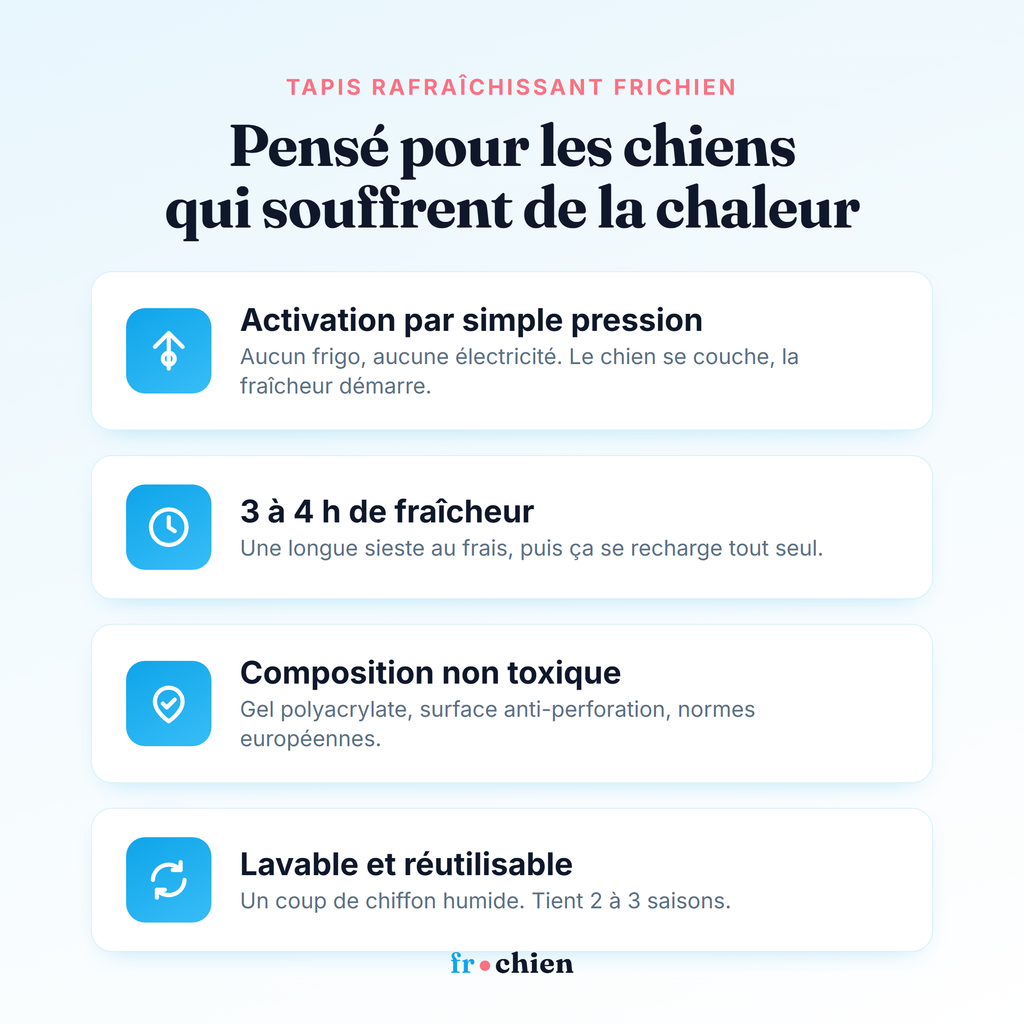 Avantages du tapis rafraîchissant Frichien : activation par pression, 3 à 4h de fraîcheur, non toxique, lavable
